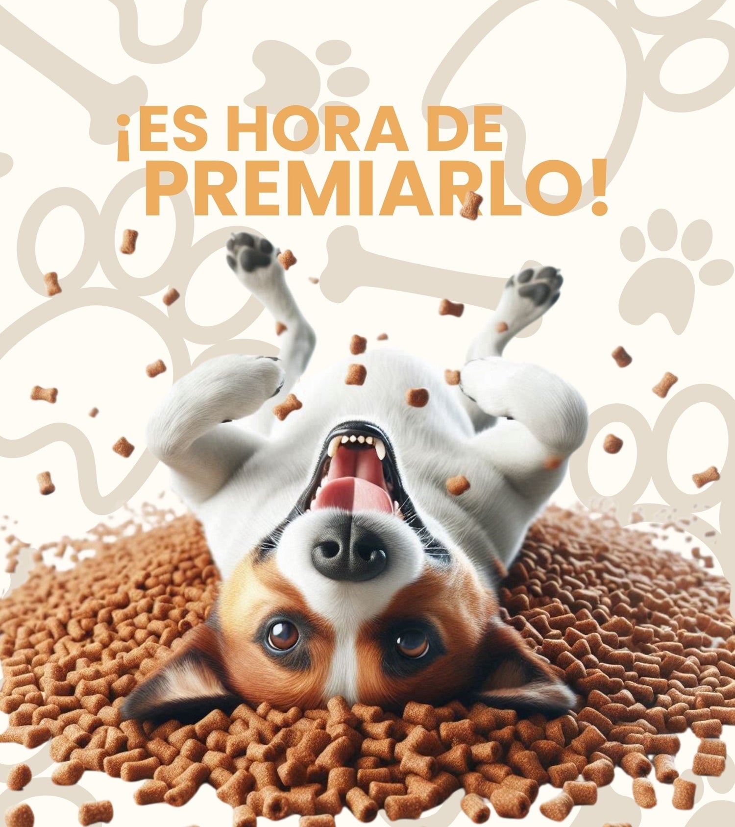 Snacks Perro