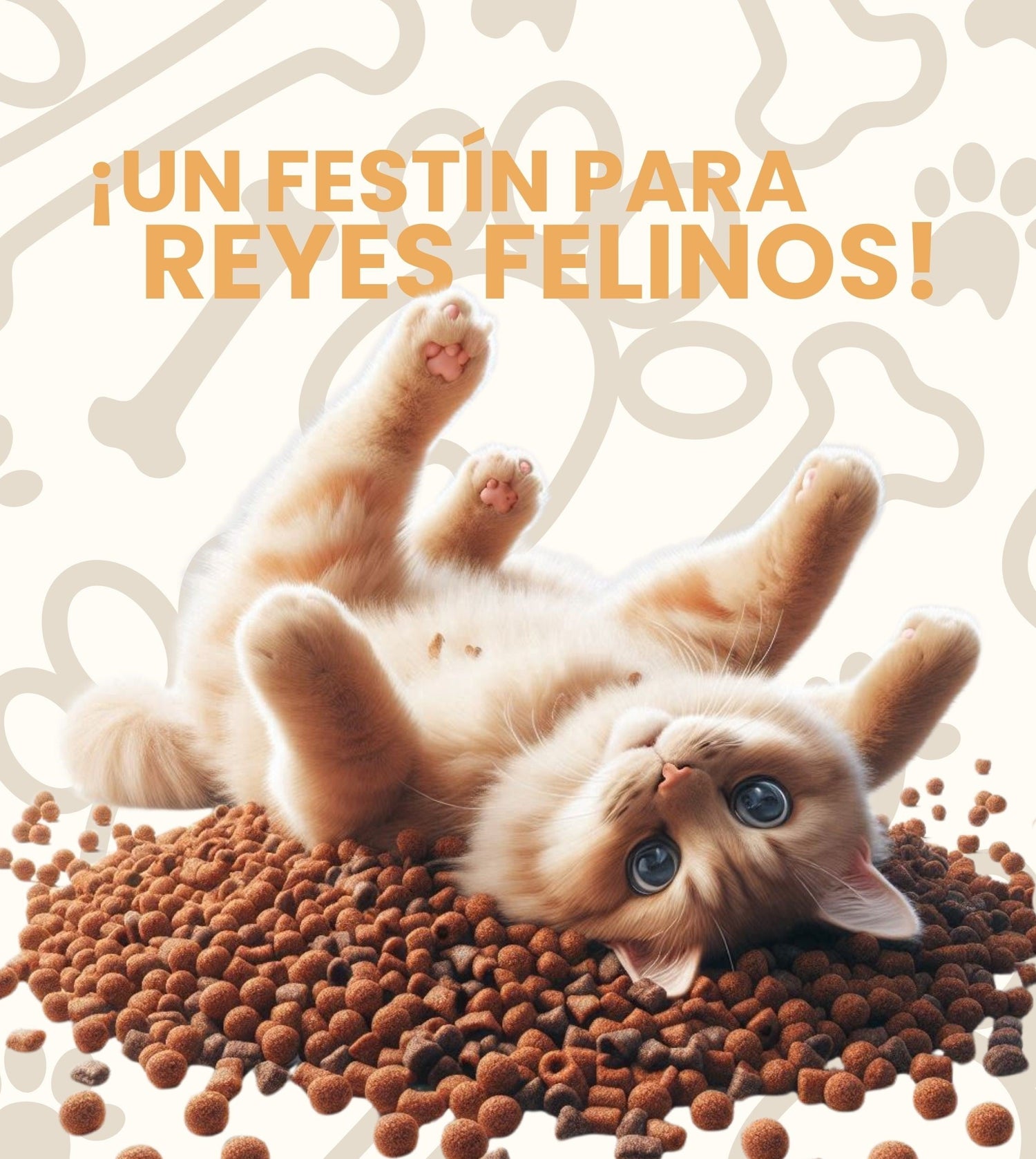 Snacks Gato
