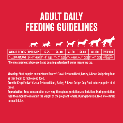 Comida Perro Evolve Adulto Carne
